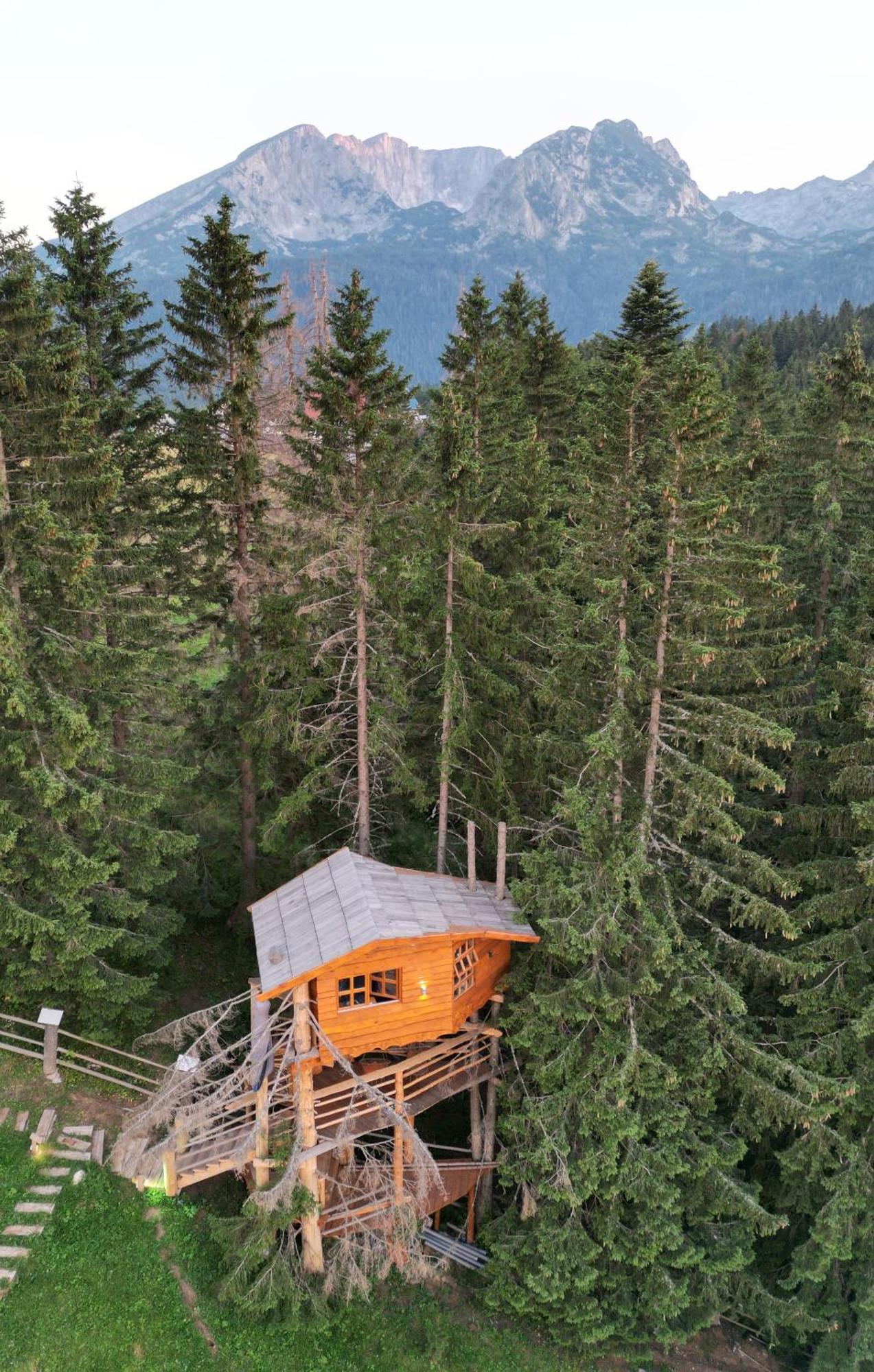 Guesthouse Planinarski Dom Neviden'O Žabljak Екстериор снимка