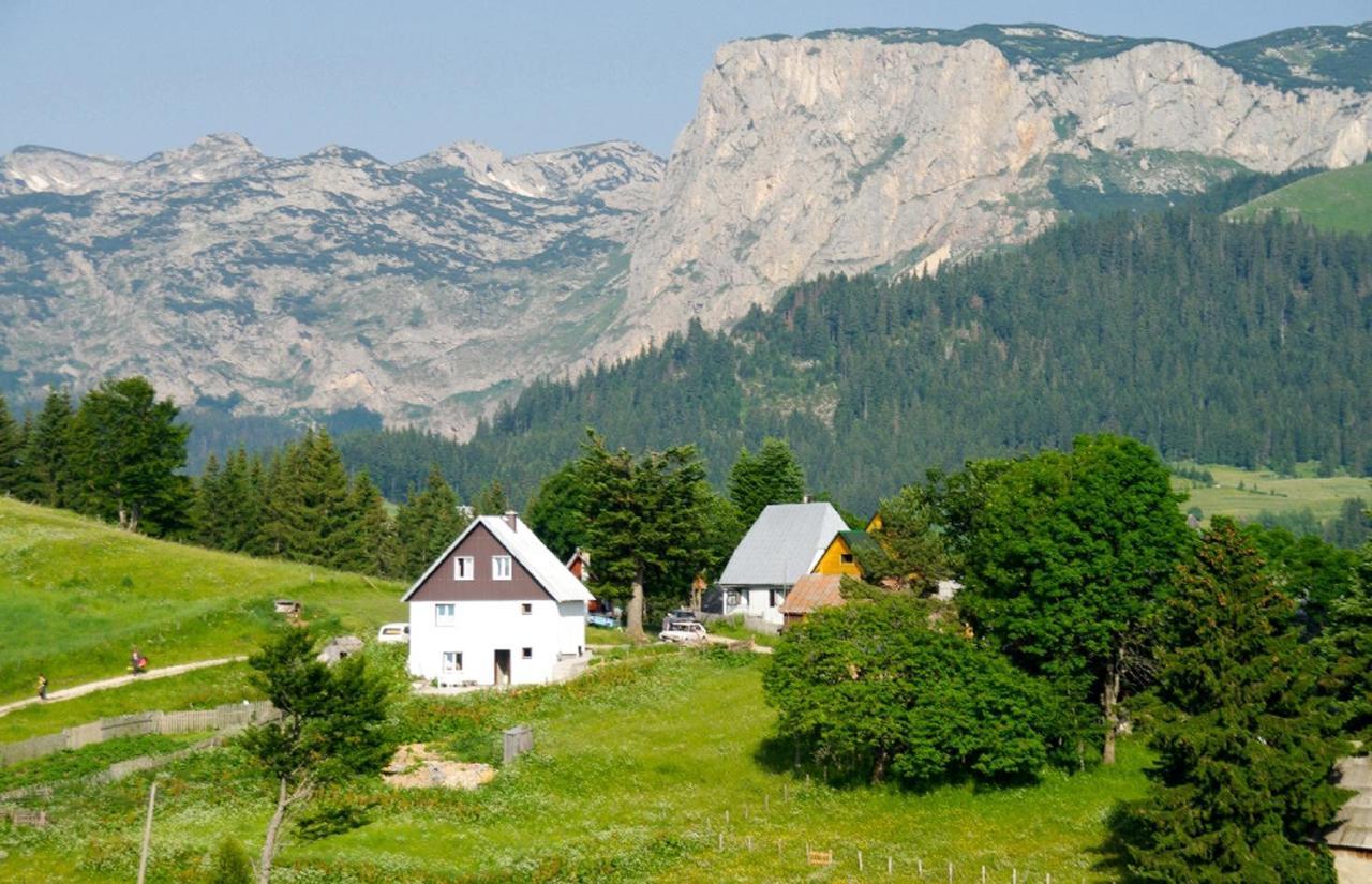 Guesthouse Planinarski Dom Neviden'O Žabljak Екстериор снимка